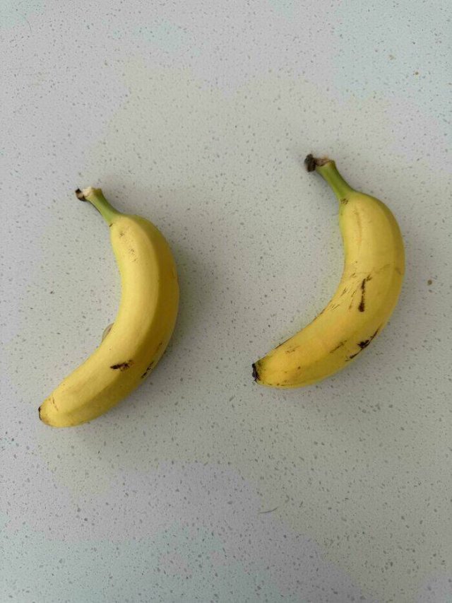 Interesting And Unusual Finds (24 pics)