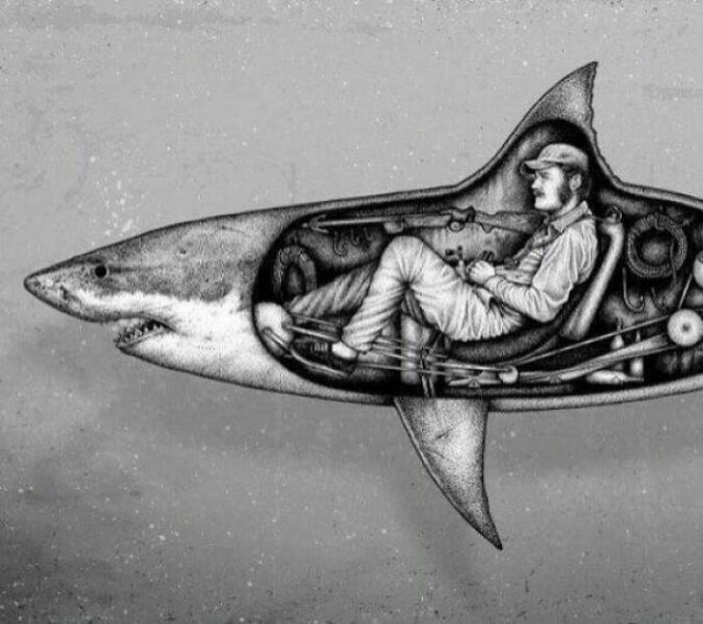Interesting And Unusual Finds (24 pics)