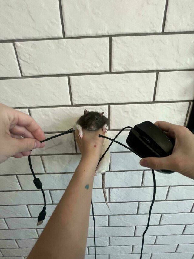 Interesting And Unusual Finds (24 pics)