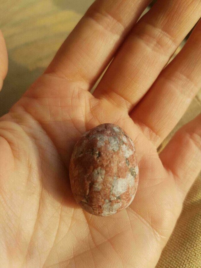 Interesting And Unusual Finds (24 pics)