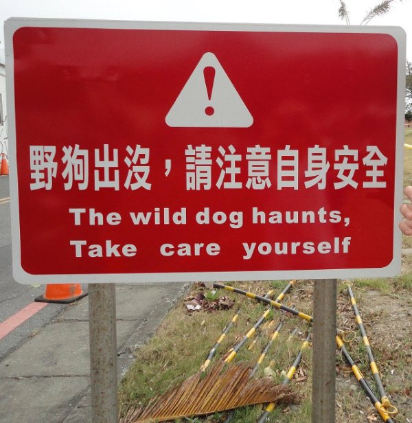 Failed Translation (27 pics)