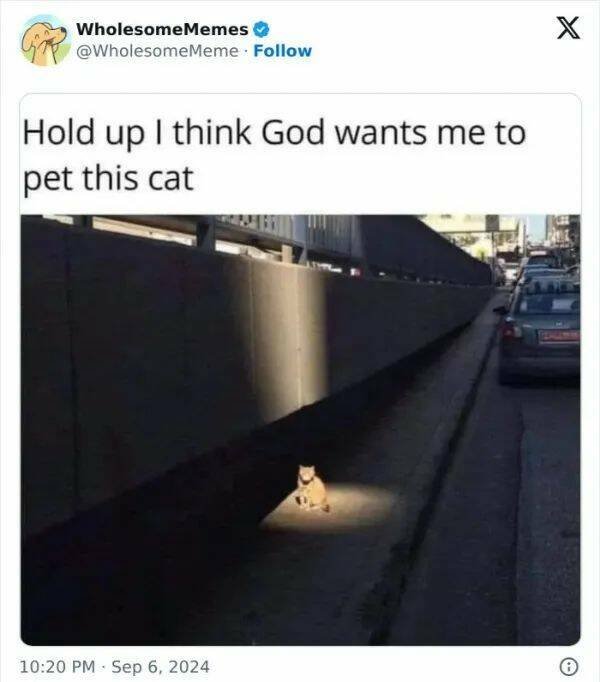 Kind Jokes (23 pics)