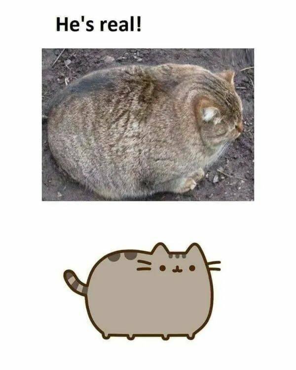 Kind Jokes (23 pics)
