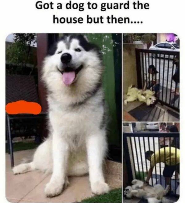 Kind Jokes (23 pics)