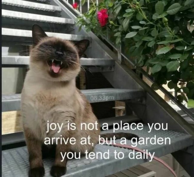 Kind Jokes (23 pics)