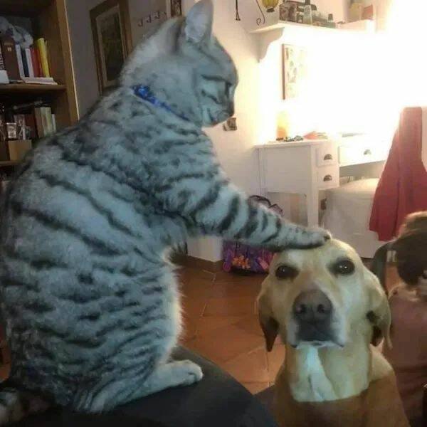 Kind Jokes (23 pics)
