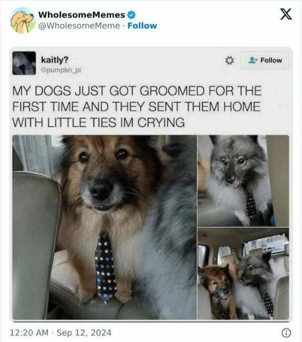 Kind Jokes (23 pics)