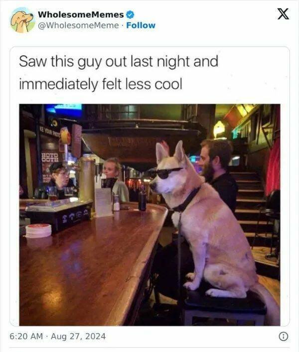 Kind Jokes (23 pics)
