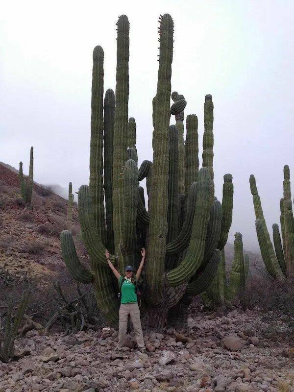 Giant Things (16 pics)
