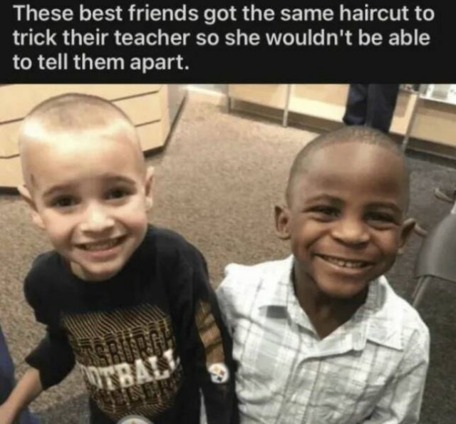 Kind Jokes (23 pics)