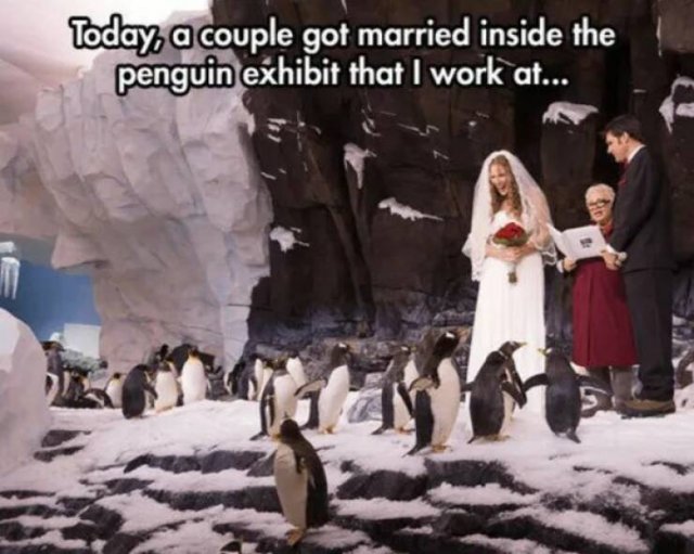 Kind Jokes (23 pics)