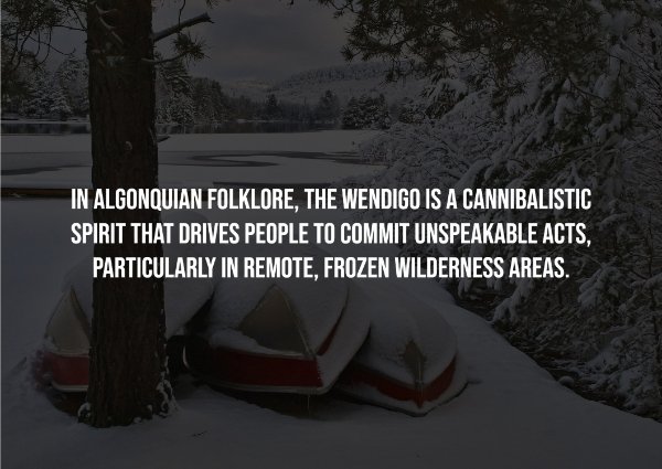 Creepy Facts (14 pics)