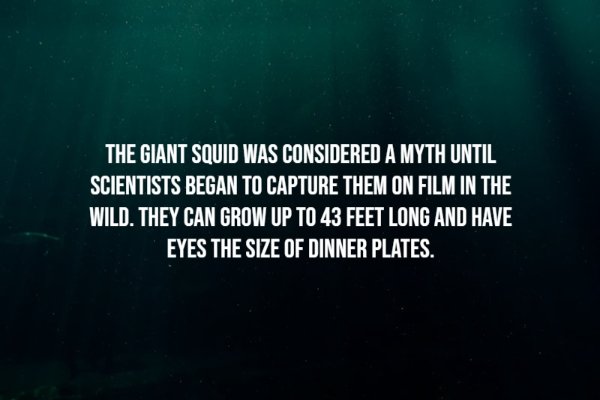 Creepy Facts (14 pics)