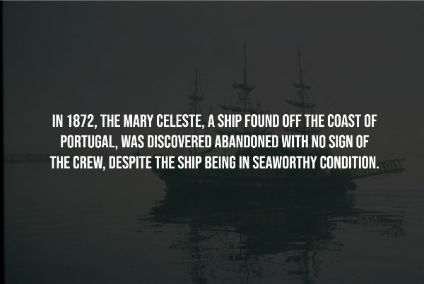 Creepy Facts (14 pics)