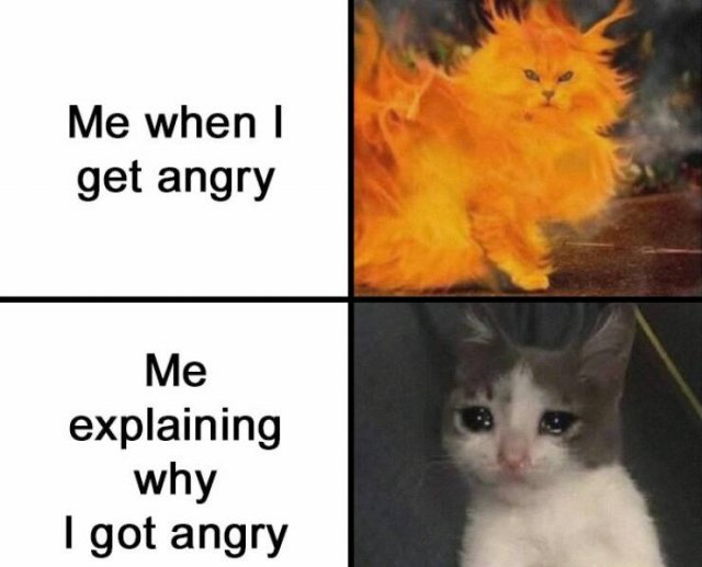 Funny Memes (21 pics)