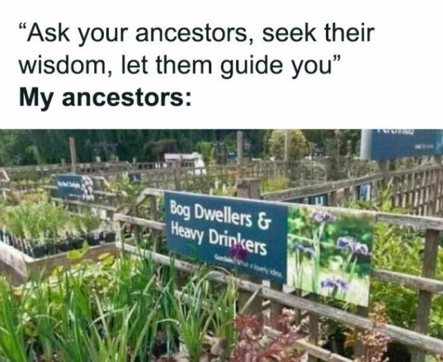 Funny Memes (21 pics)