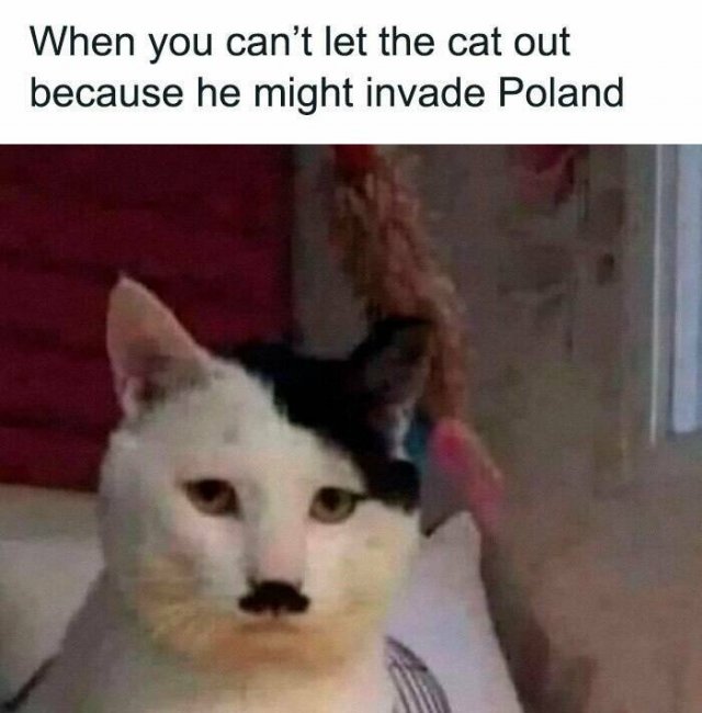 Jokes For Animal Lovers (22 pics)