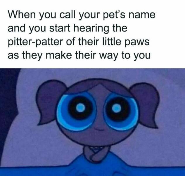 Jokes For Animal Lovers (22 pics)