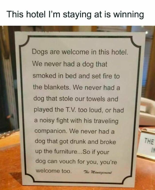 Jokes For Animal Lovers (22 pics)