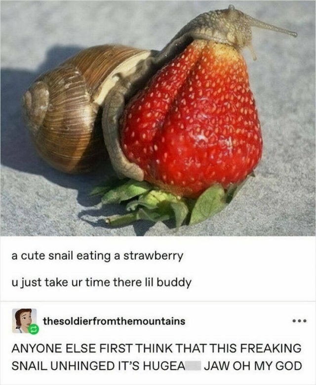 Random Memes (25 pics)