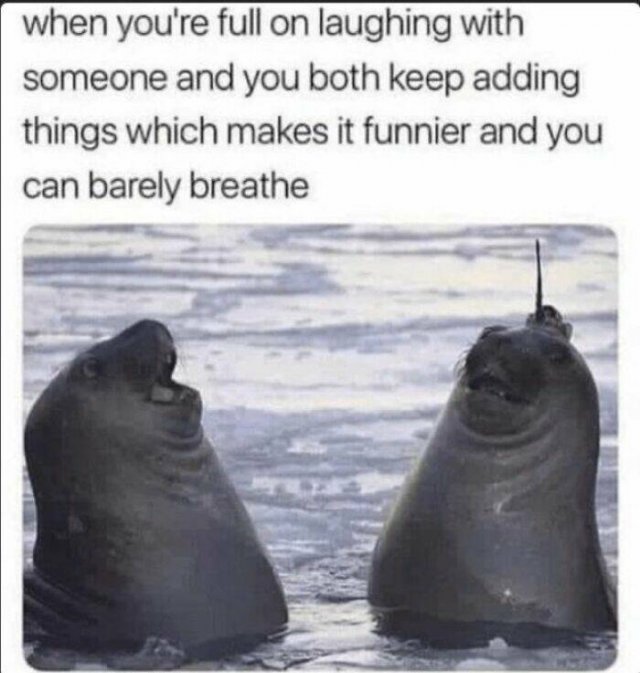 Funny Memes (21 pics)