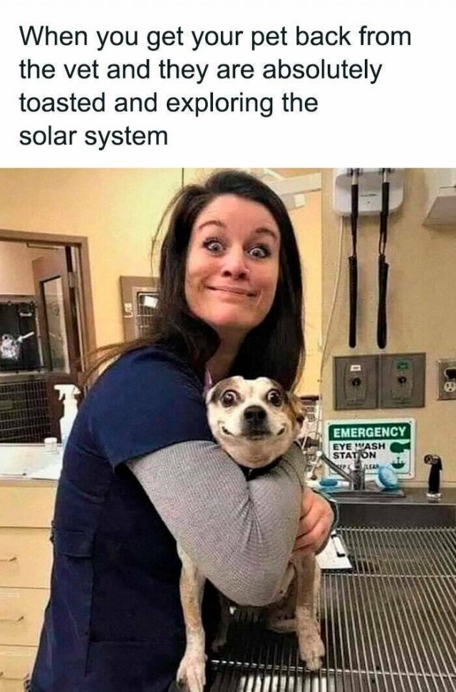 Jokes For Animal Lovers (22 pics)