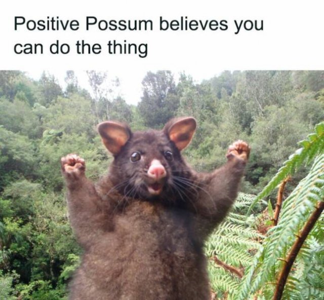 Random Memes (25 pics)