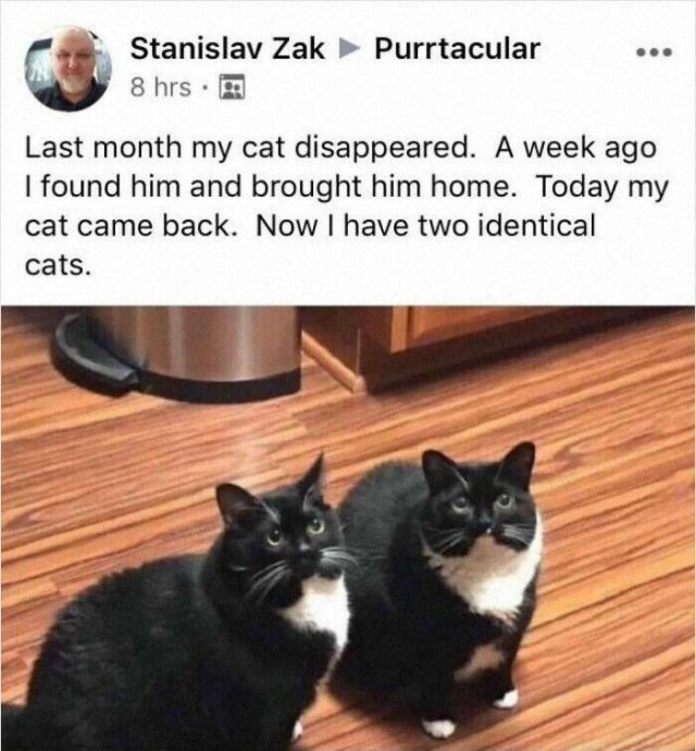 Jokes For Animal Lovers (22 pics)