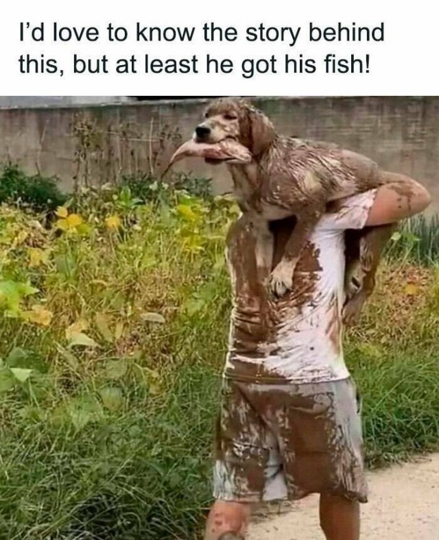 Jokes For Animal Lovers (22 pics)