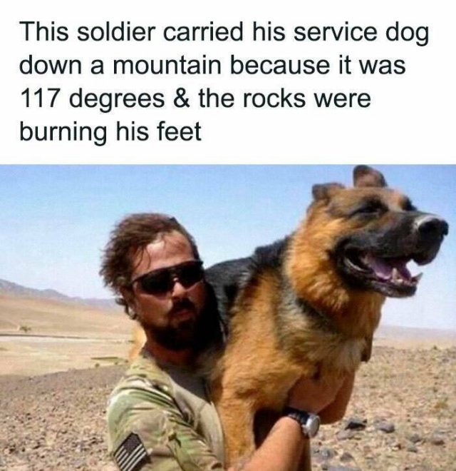 Jokes For Animal Lovers (22 pics)