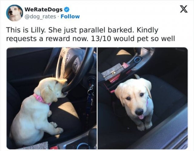 Heartwarming Posts And Photos (25 pics)