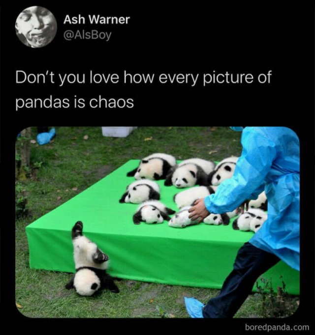 Random Memes (25 pics)