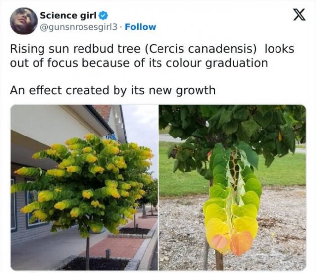 Heartwarming Posts And Photos (25 pics)