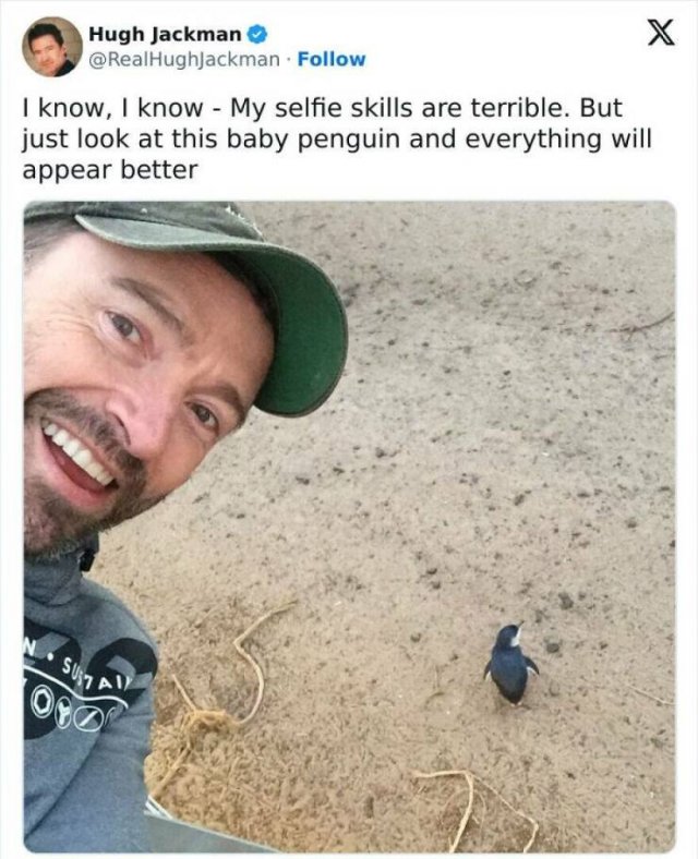 Random Memes (25 pics)