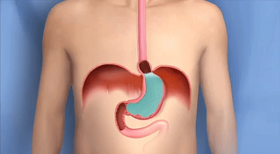 Unexpected Facts About The Human Body (15 gifs) Unexpected Facts About The Human Body (15 gifs)