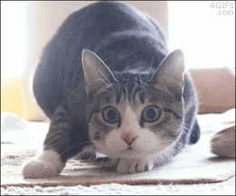 Unexpected Facts About The Human Body (15 gifs) Unexpected Facts About The Human Body (15 gifs)