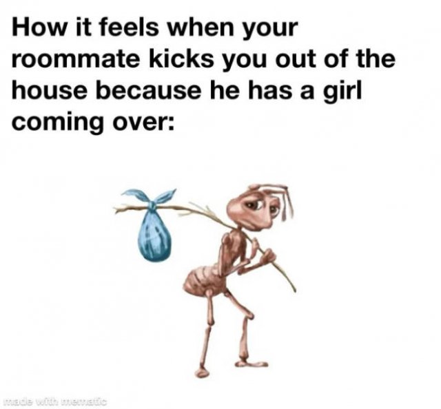 Funny Memes (19 pics)