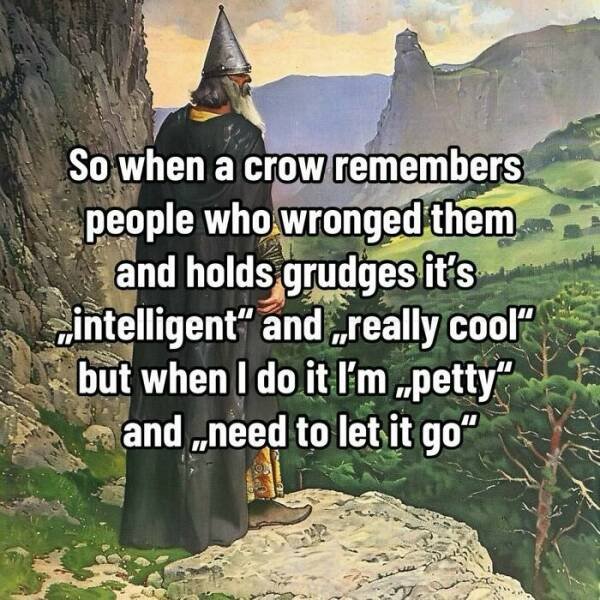 "Wise" Jokes (18 pics)