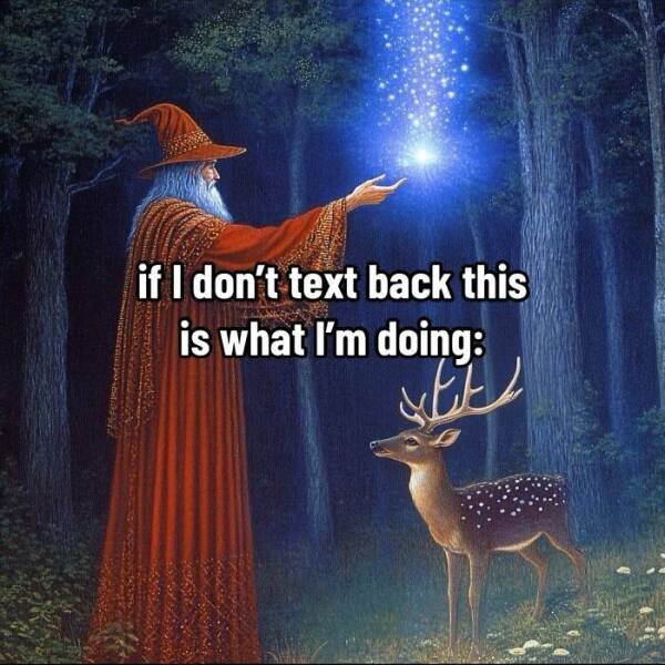 "Wise" Jokes (18 pics)