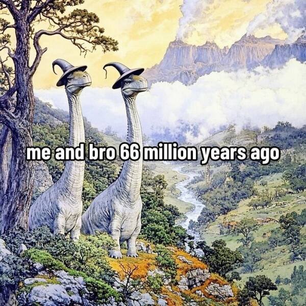 "Wise" Jokes (18 pics)