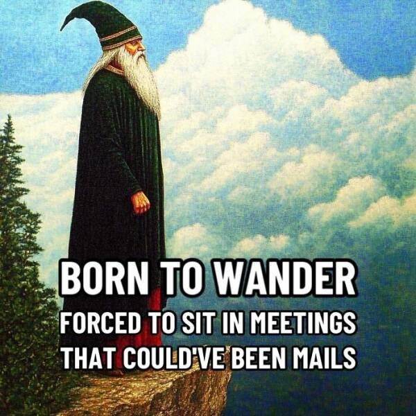 "Wise" Jokes (18 pics)