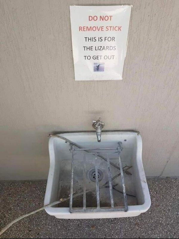 Funny Signs (24 pics)