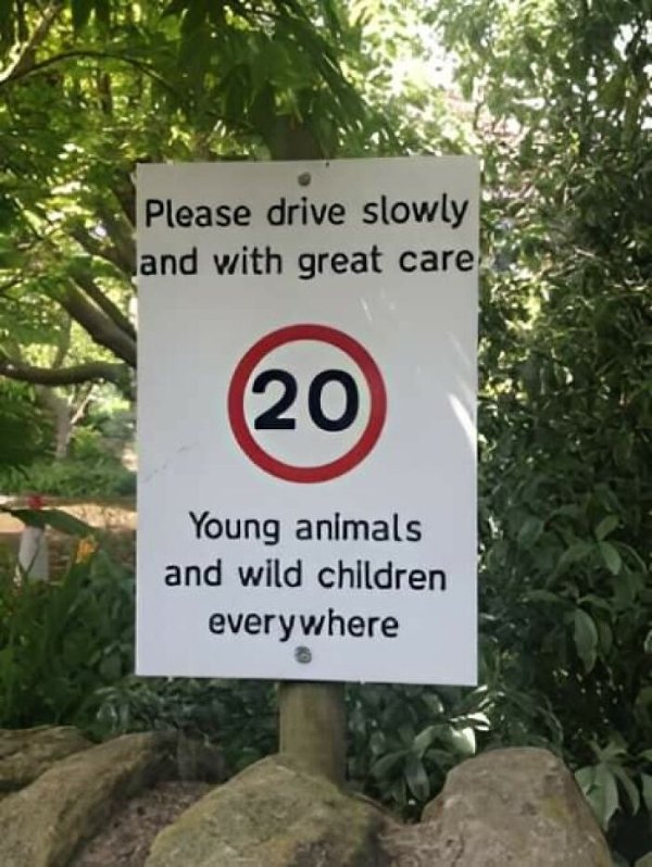 Funny Signs (24 pics)