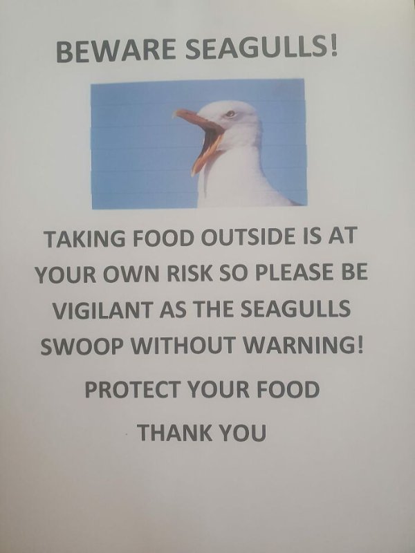 Funny Signs (24 pics)