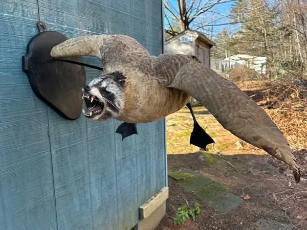 Odd Things And Designs (23 pics)