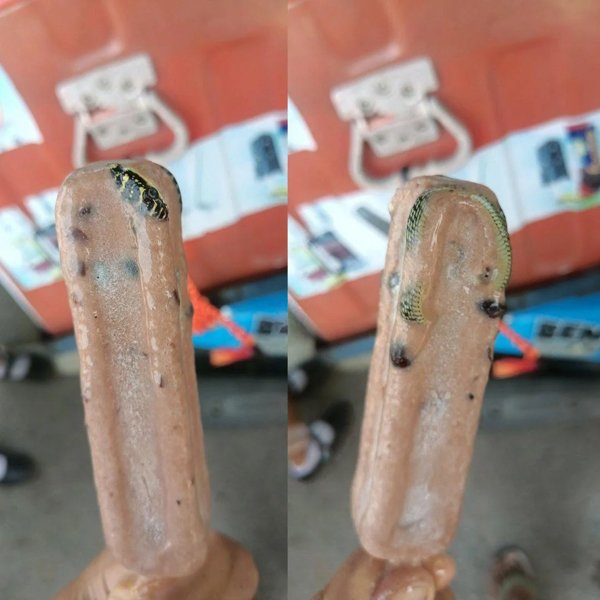 Odd Things And Designs (23 pics)
