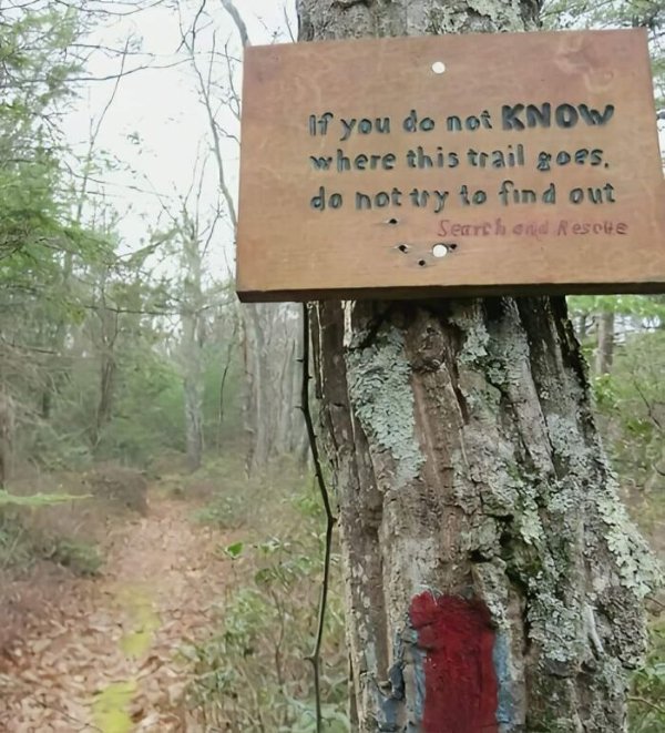 Funny Signs (24 pics)