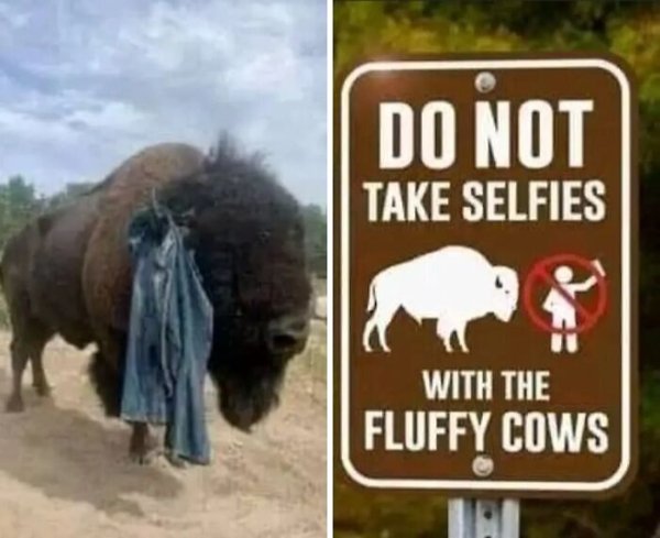 Funny Signs (24 pics)