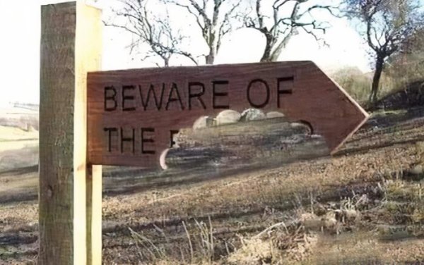Funny Signs (24 pics)