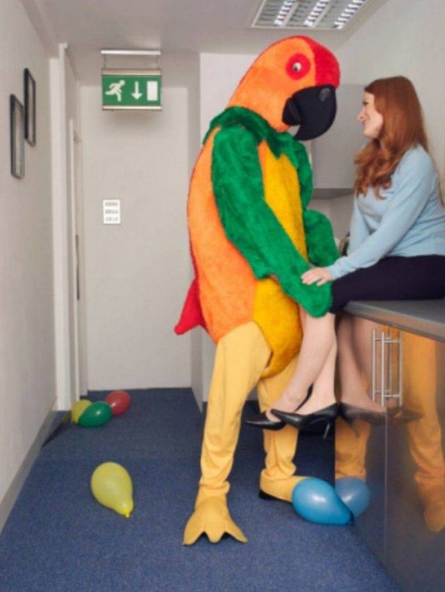 What Is Going On Here? (23 pics)